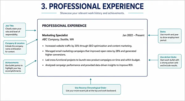 Professional Experience on a Resume